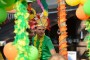 Thumbs/tn_Zomercarnaval Noordwijkerhout 2016 255.jpg